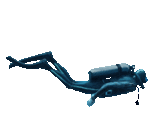 Diver